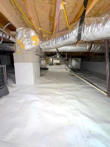CleanSpace Liner