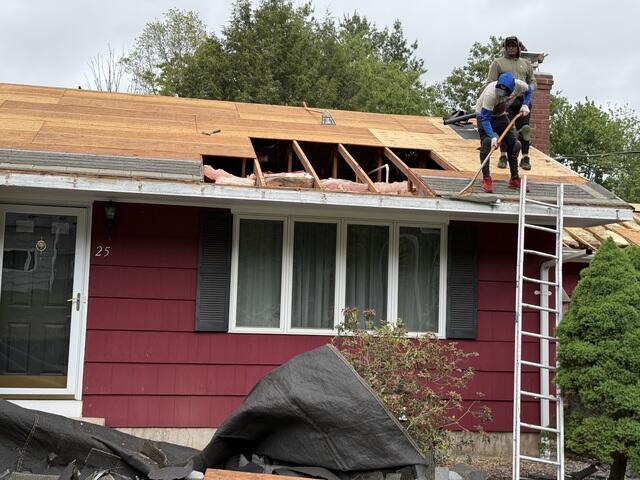 Bad Plywood Is Removed