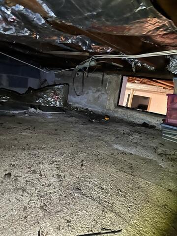 Crawl Space