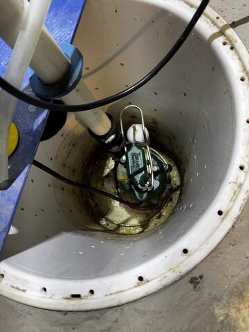 During Sump Pump Servicing