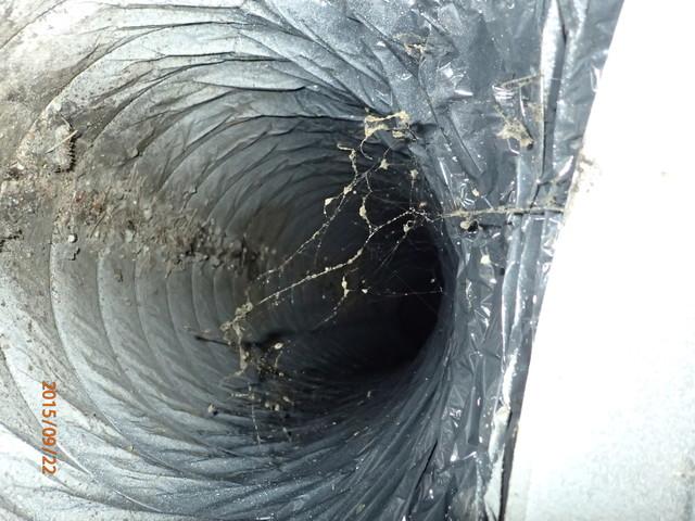 Dirty Ducts