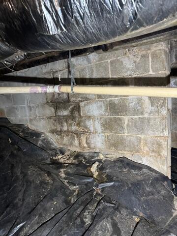 Water & Mold in Crawl Space