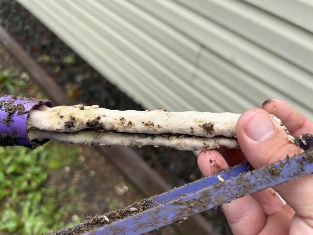 Replenish Each Sentricon® Station