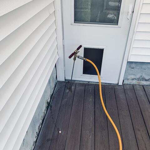 Spread it Throughout Their Colony