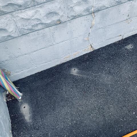 Found by the Back Door