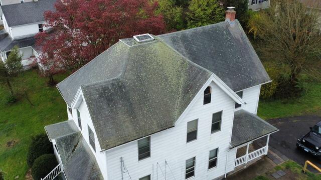 The Roof Before