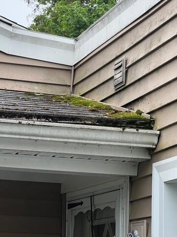 Moss on roof