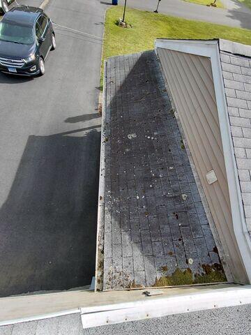 Moss on roof