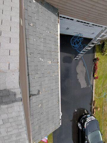 Moss treated and brushed off