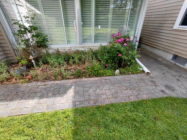 Pavers before cleaning