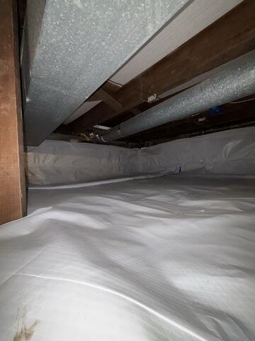 CleanSpace: A Closer Look