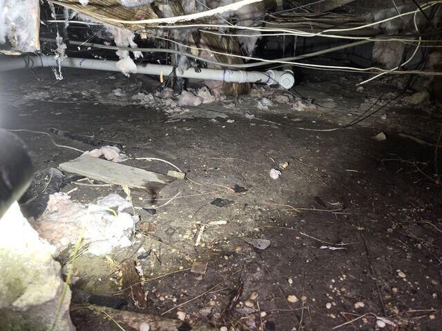 Damp Crawl Space Conditions