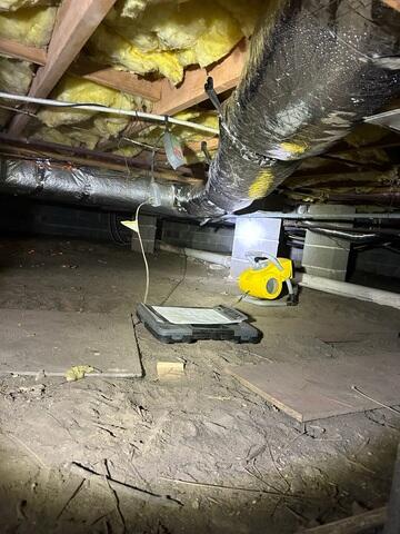 Damp Crawl Space