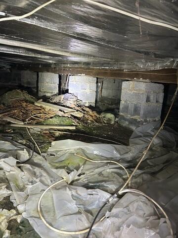 Crawl Space