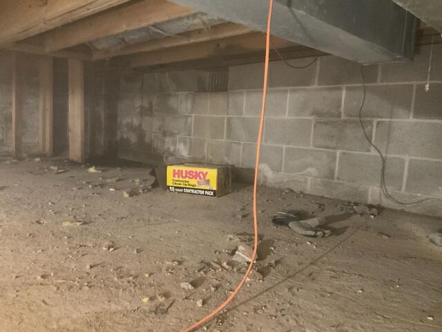 Before Waterproofing