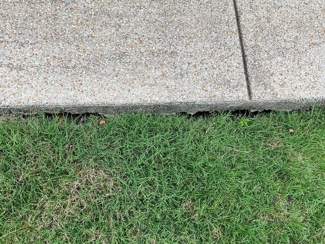 Voids Beneath the Sidewalk