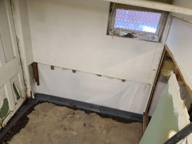 CleanSpace
