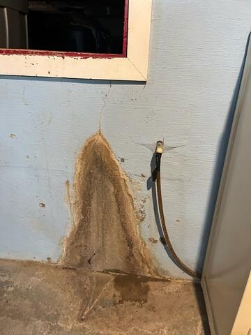 What Our Team Discovered