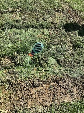 LawnScape