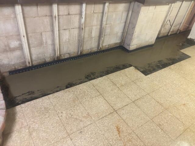 Dry Basement, Peace of Mind