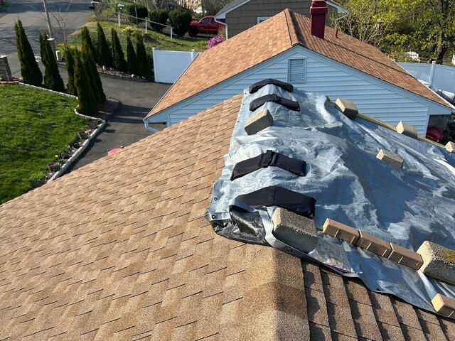 Before: Tarp of Terror