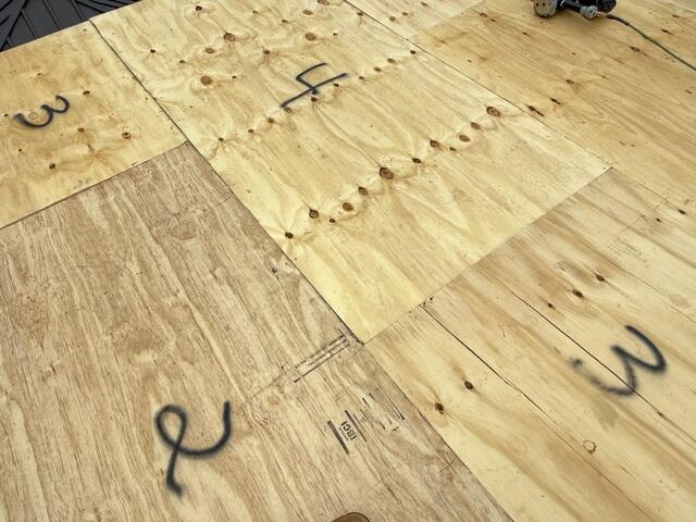 Fresh New Sheathing