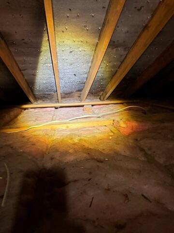 Mold and Debris