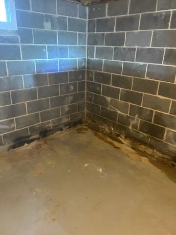 Wet Basement