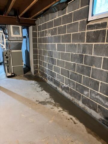 WaterGuard Drainage System