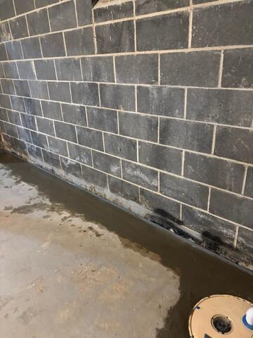 WaterGuard Drainage System