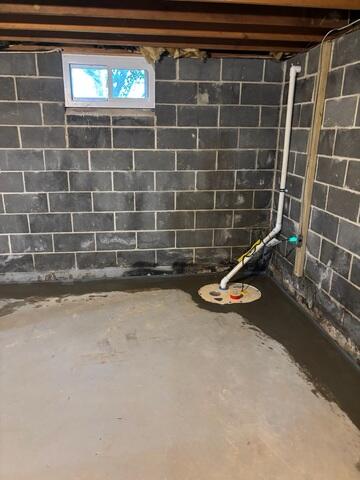 TripleSafe Sump Pump