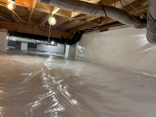 CleanSpace