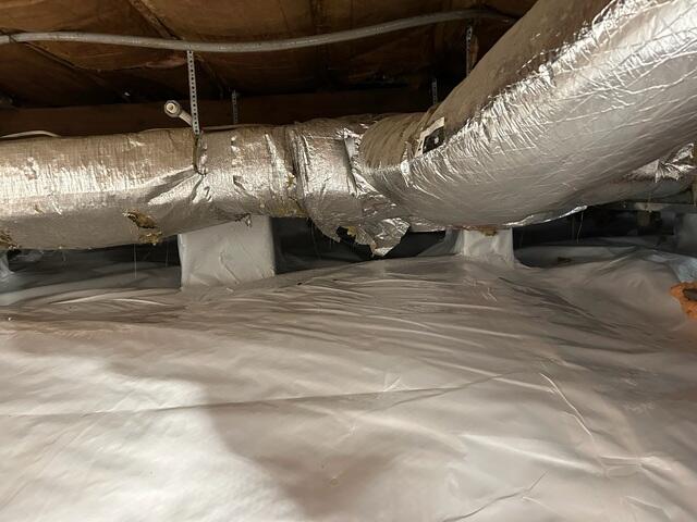 CleanSpace Vapor Barrier