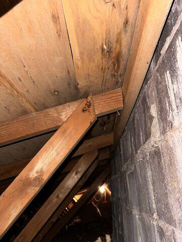 Damaged Roof Framing in California, KY