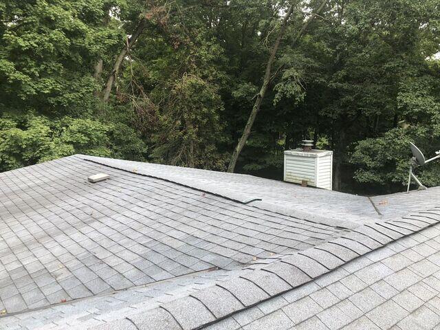 No Chimney Cricket in Melbourne, KY