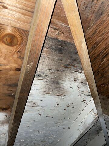 Moldy Roof in Wilmington, OH