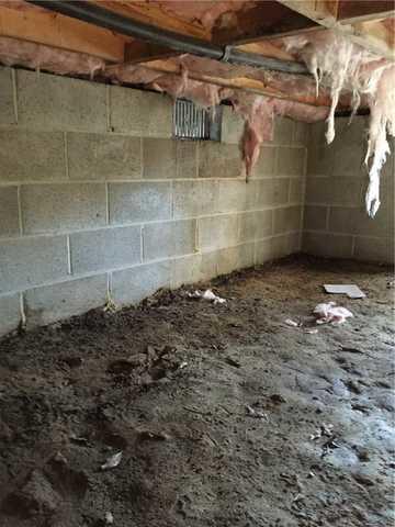 <p>The fiberglass insulation was dripping from the ceiling. It was damaged and wet and could potentially attract dangerous mold.</p>