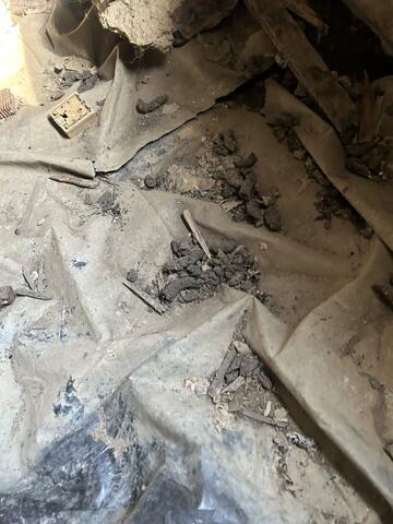 Raccoon Poop Everywhere