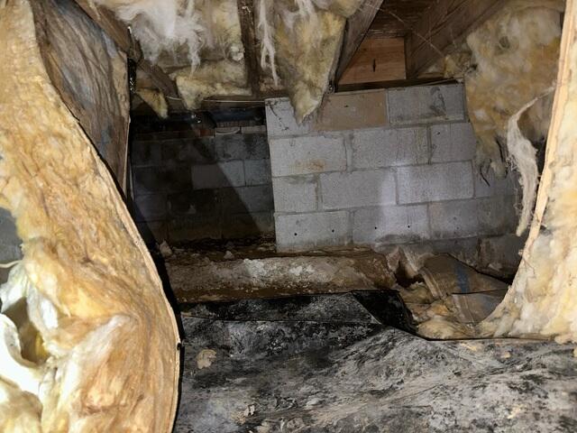 Crawl Space During Inspection