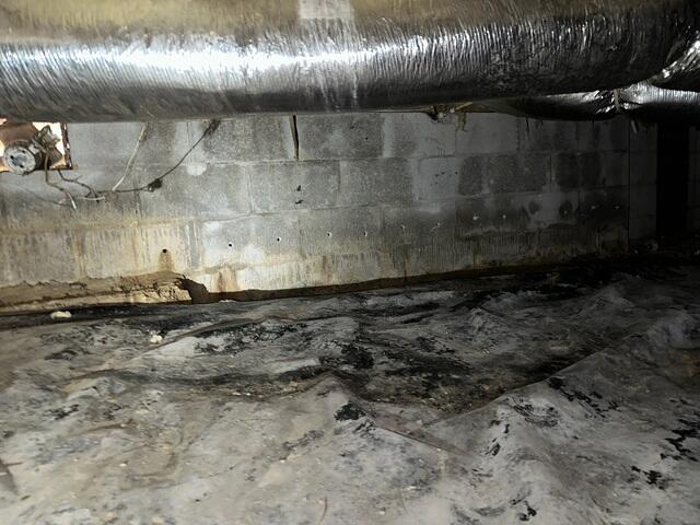 Moisture Damage
