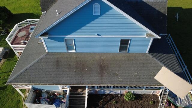 Before: Algae & Lichen