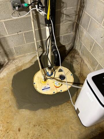 TripleSafe Sump Pump