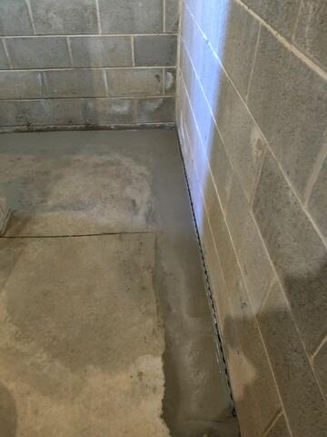 WaterGuard Drainage System