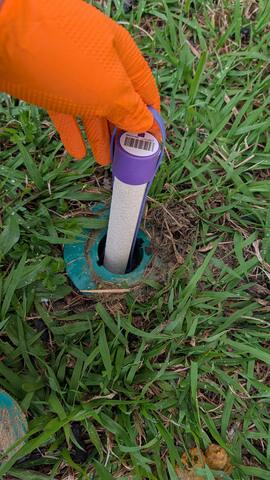 A New Bait Installed