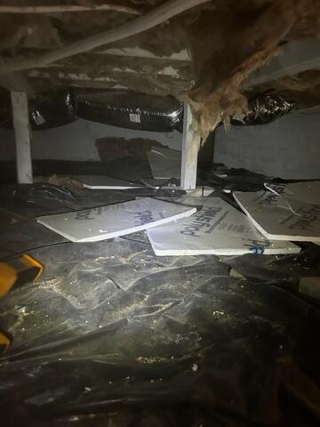 Damp Crawl Space