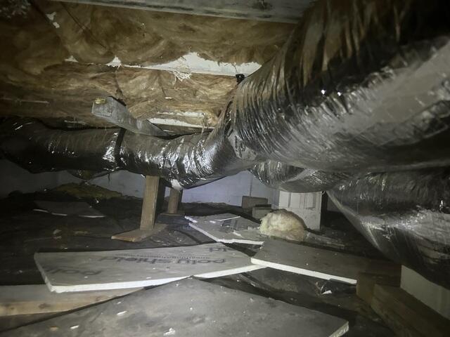 Before Waterproofing