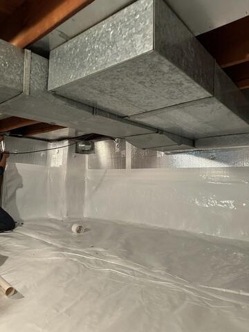 Crawl Space Protection