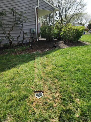 LawnScape