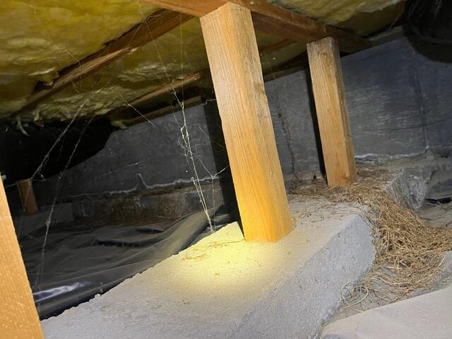 Old Vapor Barrier