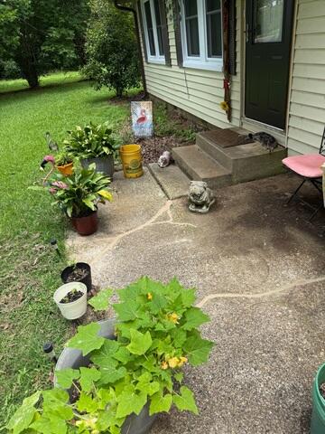 Concrete Patio Repaired
